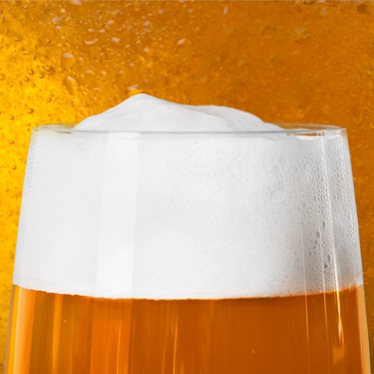 Birra e colesterolo, i risultati di un nuovo studio