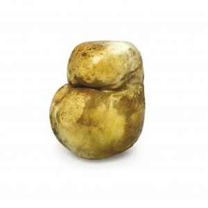 Scamorza affumicata di bufala Campana da 500 gr